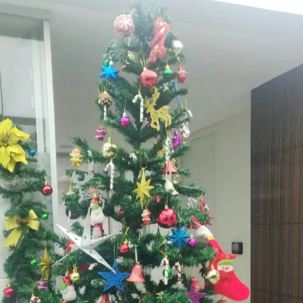 Christmas Decor in Office